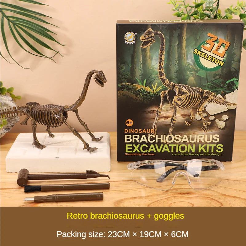 Dinosaur excavation kit with Brachiosaurus skeleton model, tools, and goggles on a wooden surface.