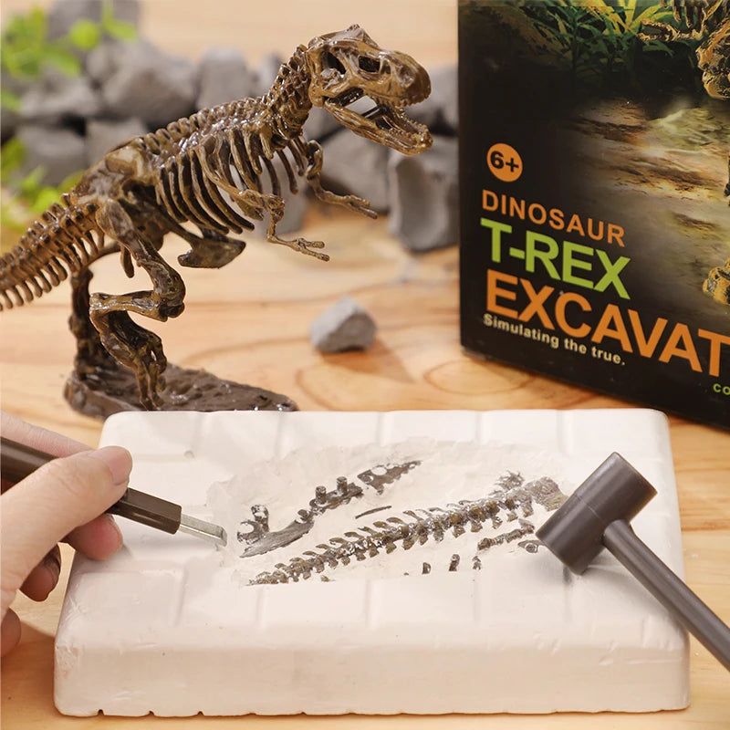 Dinosaur T-Rex excavation kit with toy skeleton and tools on a wooden surface