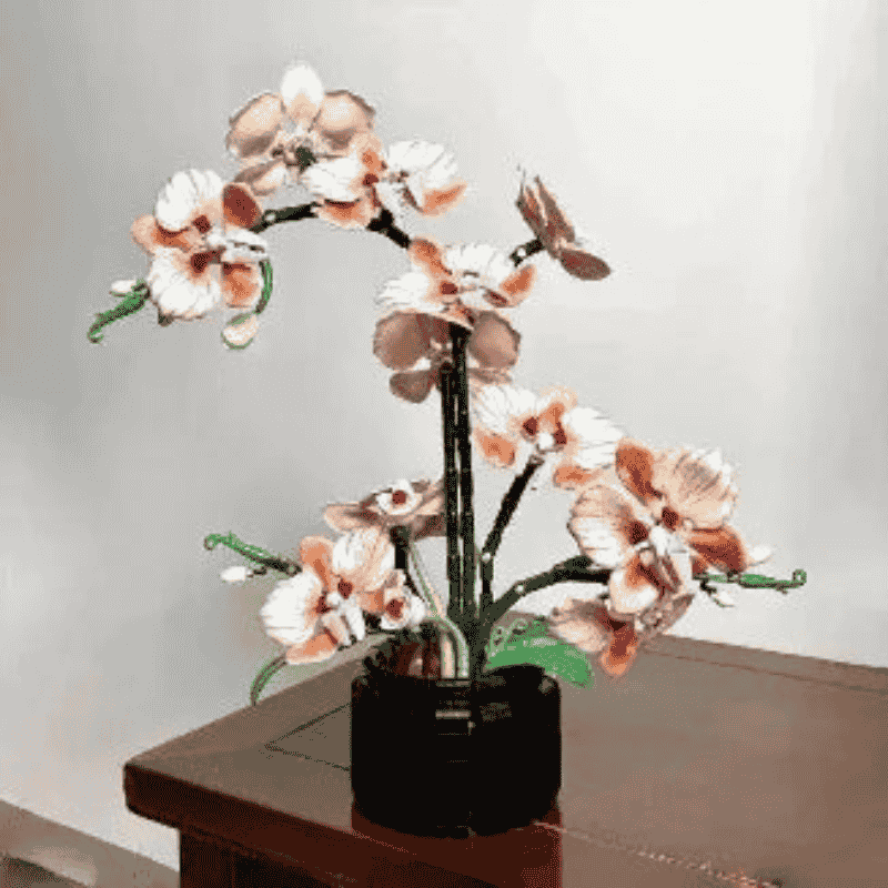 12+ Age DIY Innovative Orchid Bonsai Building Blocks Kit